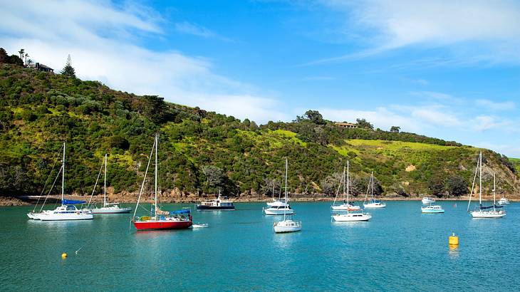 Sailboats on turquoise water next to a greenery-covered hill