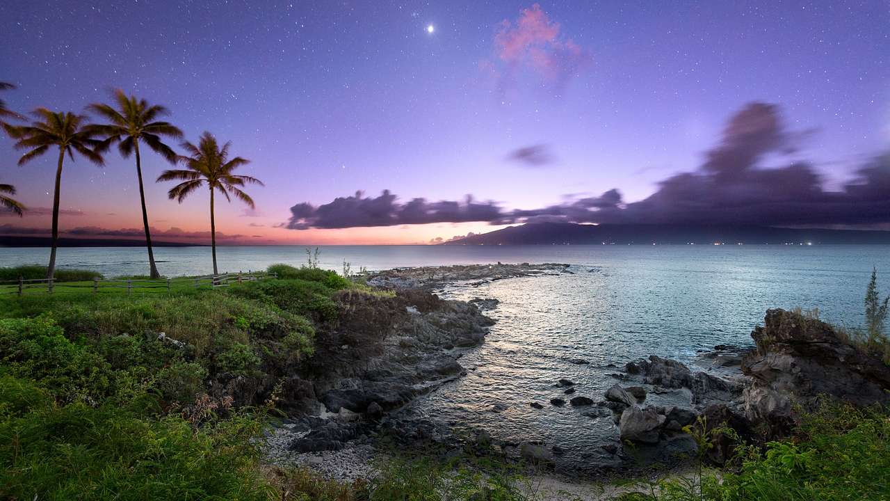 The ocean next to rocks and palm trees under a purple night sky