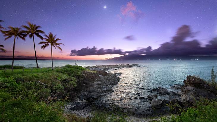 The ocean next to rocks and palm trees under a purple night sky