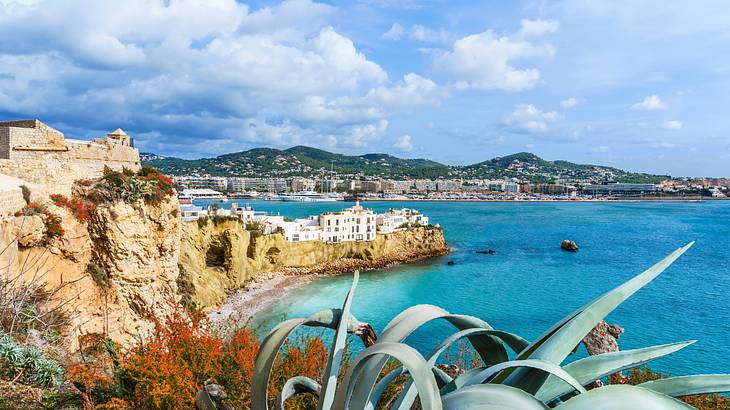 Seascape of an old city with plants in the foreground