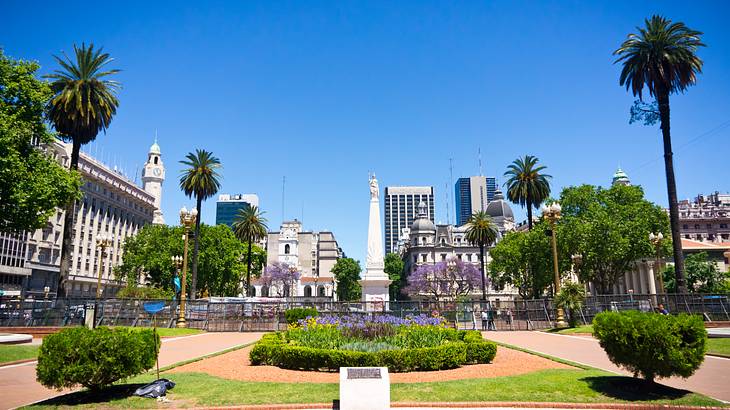 Landscape view of the city surrounded by buildings and tall palm trees