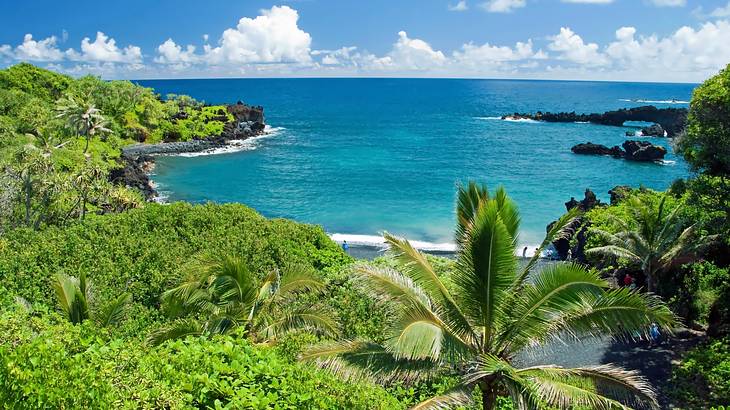 Clear blue ocean with lush greenery in the foreground and black rocks surrounding