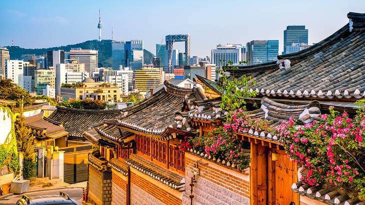 Chinese-styled houses with flowers on the fences, and a city skyline in the distance