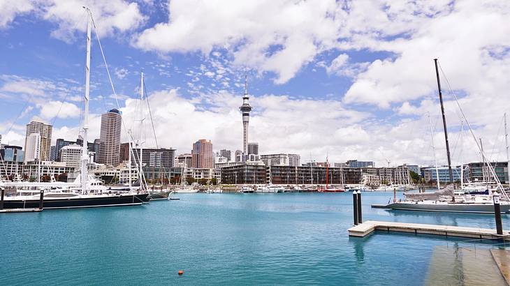 A city next to a harbor with boats on it under a blue sky with clouds