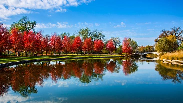 A lake surrounded by fall trees with a bridge in the distance