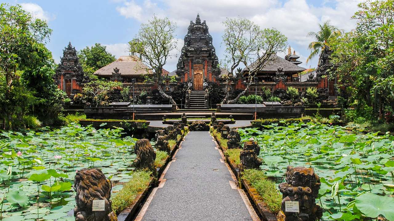 A temple structure next to trees and a path between ponds with lily pads