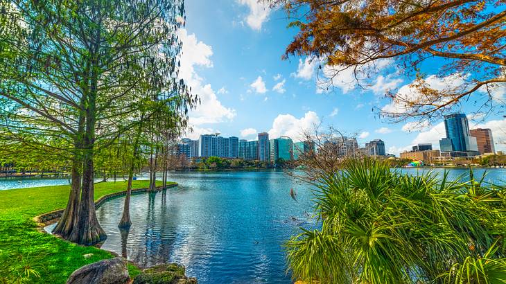 A tranquil lake surrounded by green trees, with a cityscape in the background