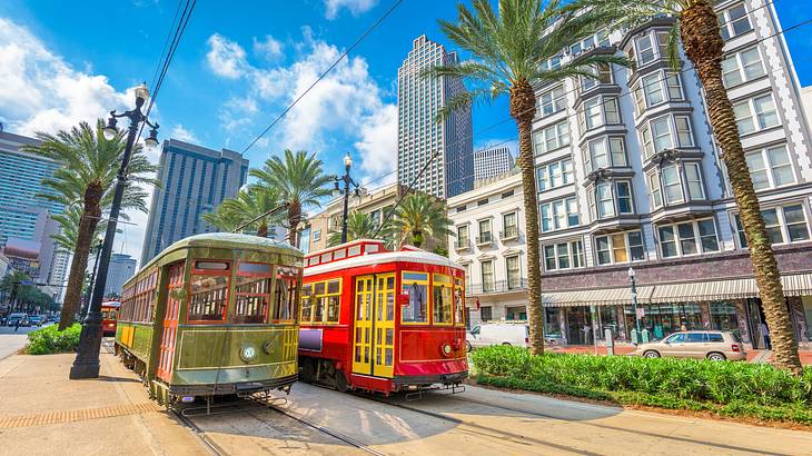 Two colorful streetcars on the road with buildings and palm trees surrounding