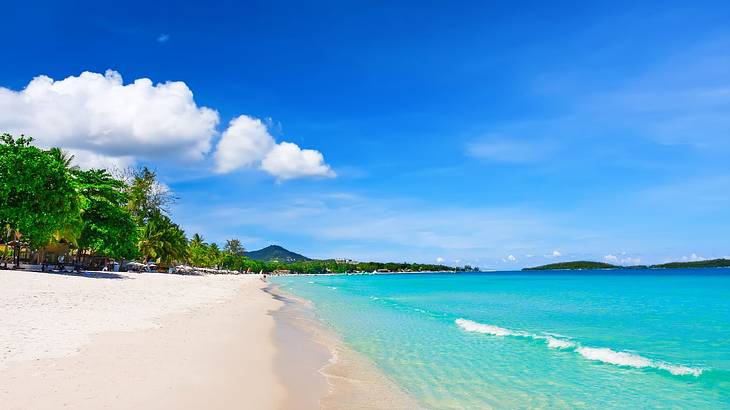 A white sand beach with turquoise ocean on one side and green trees on the other