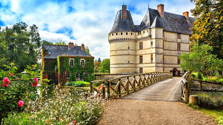 A castle near a bridge, an old house, and plants