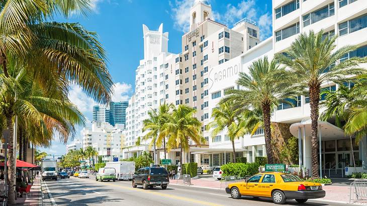 Cars on a palm tree-lined road with white buildings on the right side