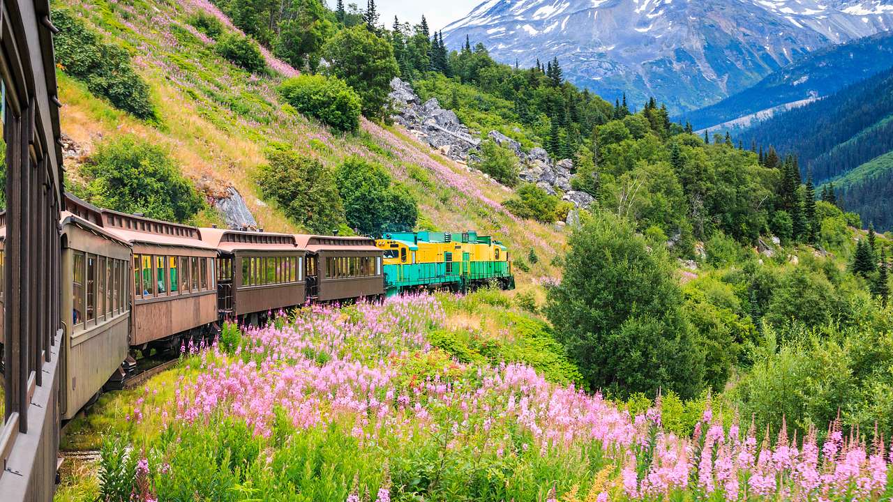 A train on a lush mountainside surrounded by trees and flowers
