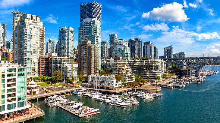 Panorama of a city with tall buildings facing a harbour with docked boats