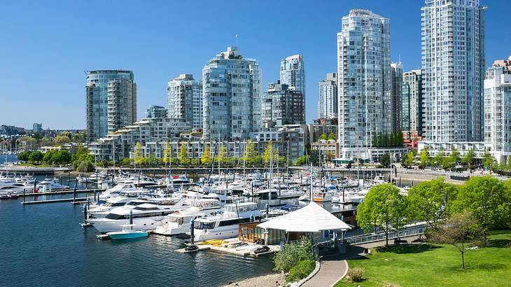 City buildings next to a harbor with boats and a path through greenery