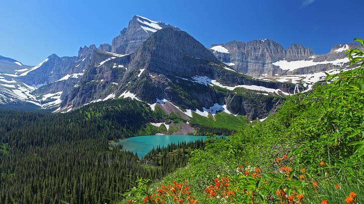 A lush mountainside, a glacial lake, and a snow-covered rocky mountain range