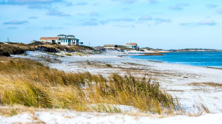 A sandy beach with shrubs facing the sea, with houses in the distance