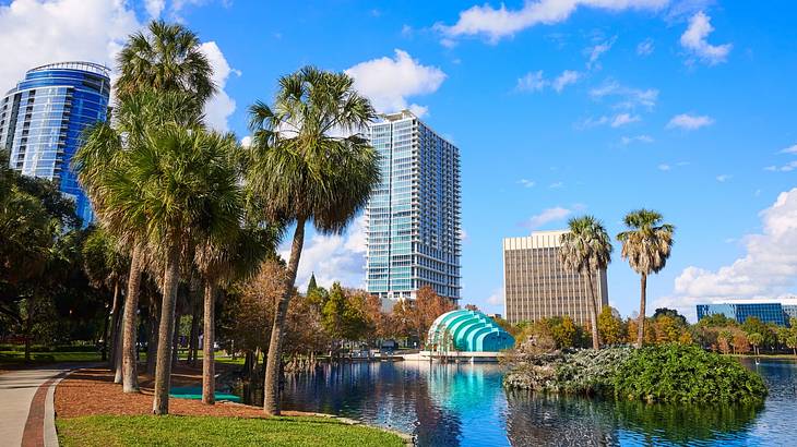 City buildings next to a lake, a pathway, and palm trees
