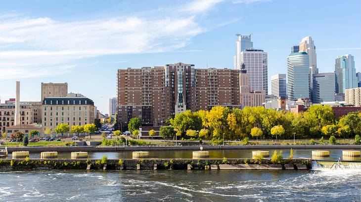 A city skyline next to trees and a river on a sunny day