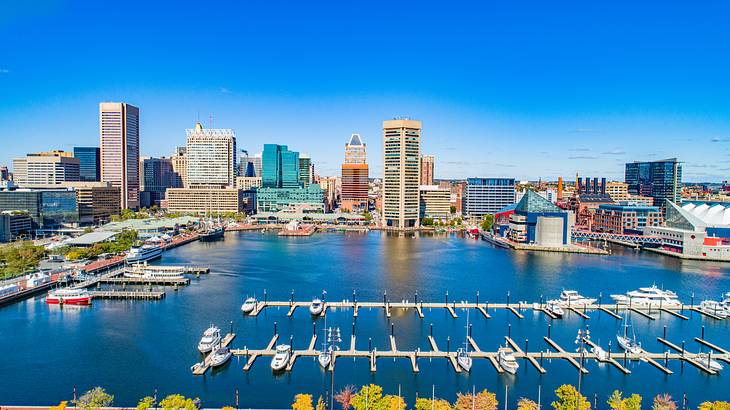 Aerial shot of an inner harbor near city skyscrapers