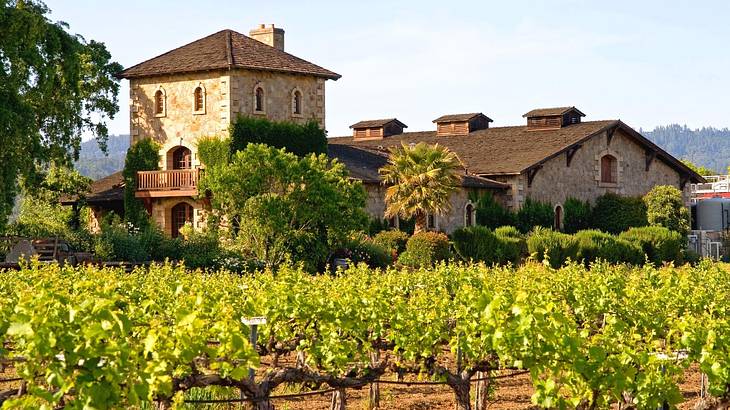 An Italian-style home with a vineyard surrounding it