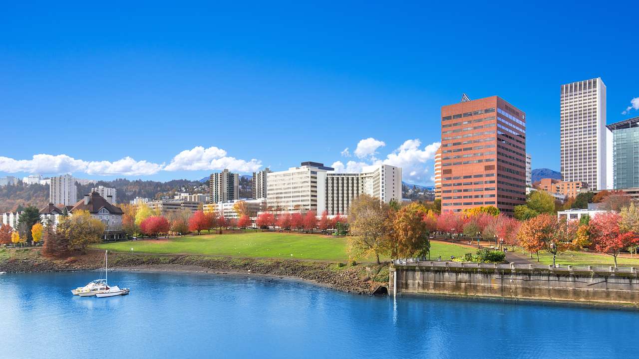 A city skyline next to grass, trees, and a body of water under a blue sky