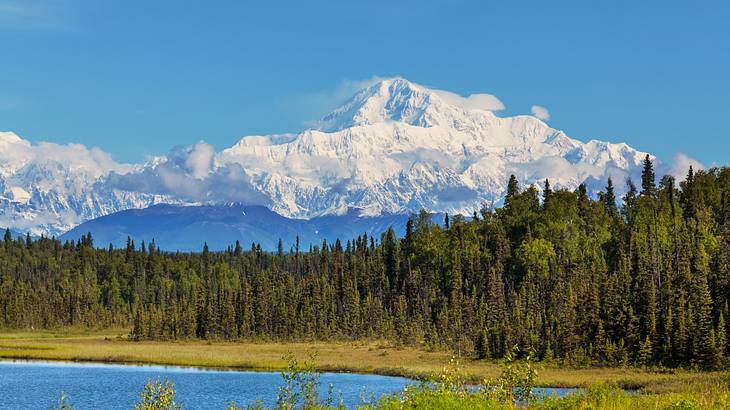 Tall green trees overlooking a lake, against a snow-covered mountain range