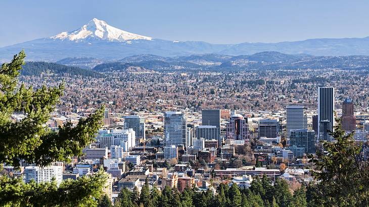 An aerial shot of city buildings with a snowy mountain in the background