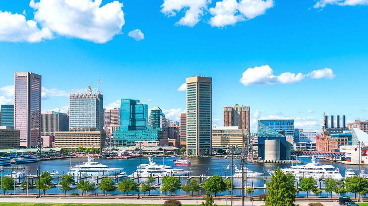 Downtown skyline overlooking a harbor with boats moored under a partly cloudy sky