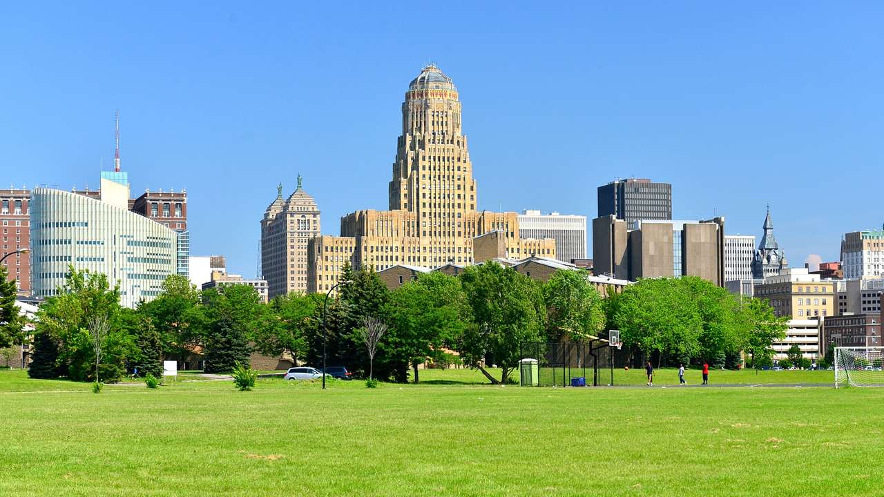 Green grass and trees next to a city skyline under a clear blue sky
