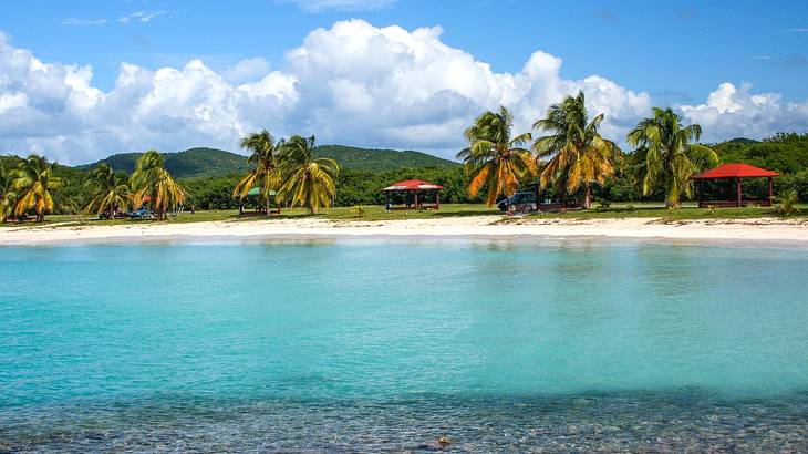 A beach with turquoise water, palm trees, and red cabanas