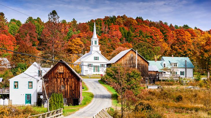 A road through old wooden houses leading to a white church near a forest in the fall