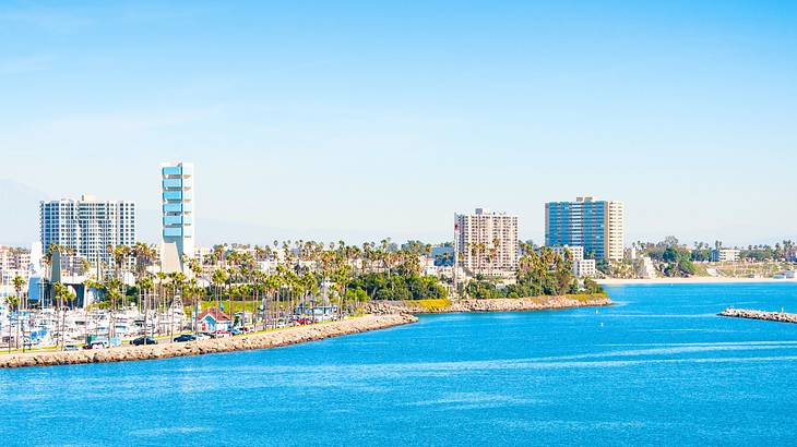 A coastal city with buildings and trees next to the ocean under a blue sky