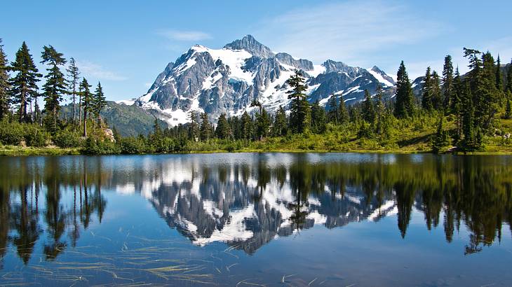 A snowcapped mountain surrounded by evergreen trees, reflected into a lake