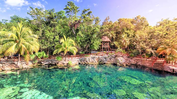 Palm trees and a small hut on a rocky cliff near clear blue rocky waters