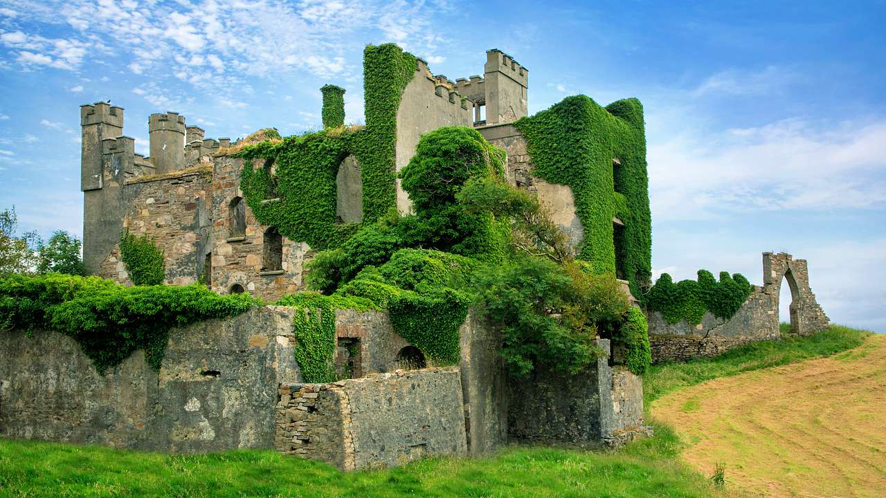 Ruins of a castle covered with green moss next to the grass