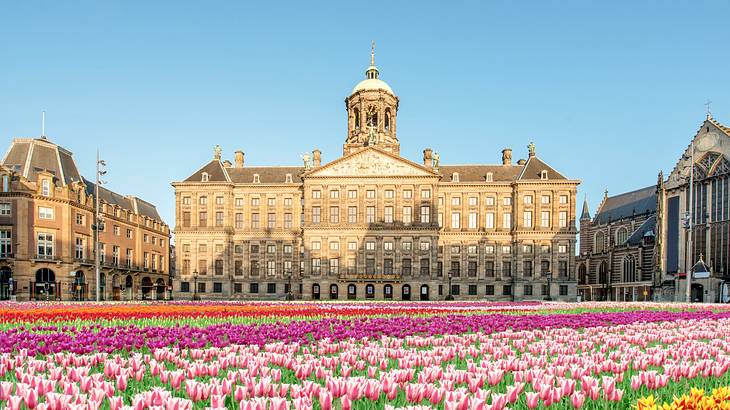 An old building with a dome tower in the middle near many tulips in the foreground