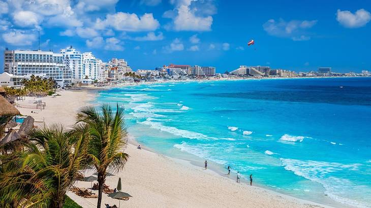 A crystal ocean with sand, palm trees, and buildings to the side under a blue sky