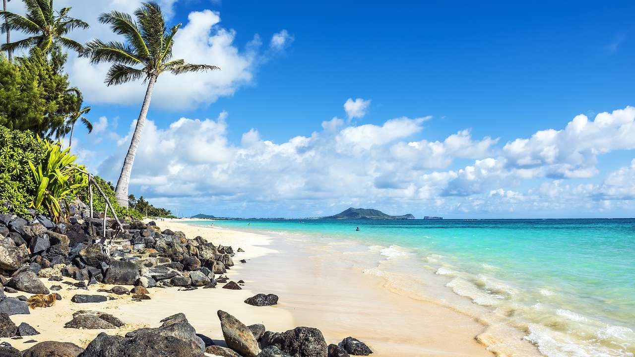 View of a beautiful sandy beach with coconut trees and rocks on a sunny day