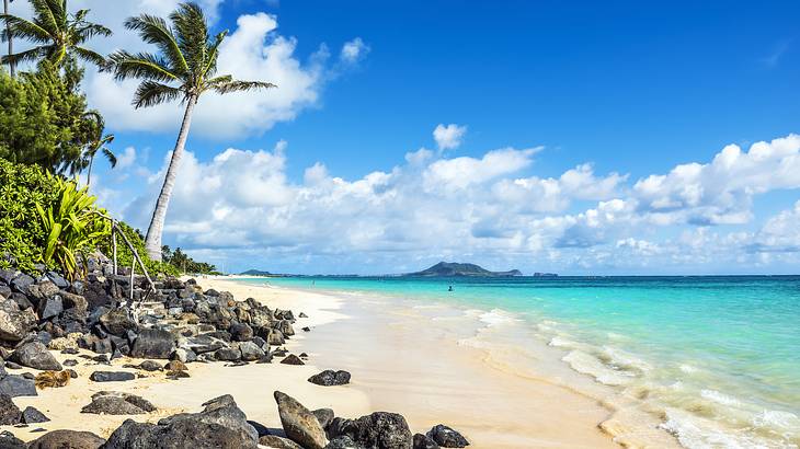 View of a beautiful sandy beach with coconut trees and rocks on a sunny day