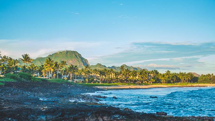 A beach with black rocks on the shore, turquoise ocean, and greenery