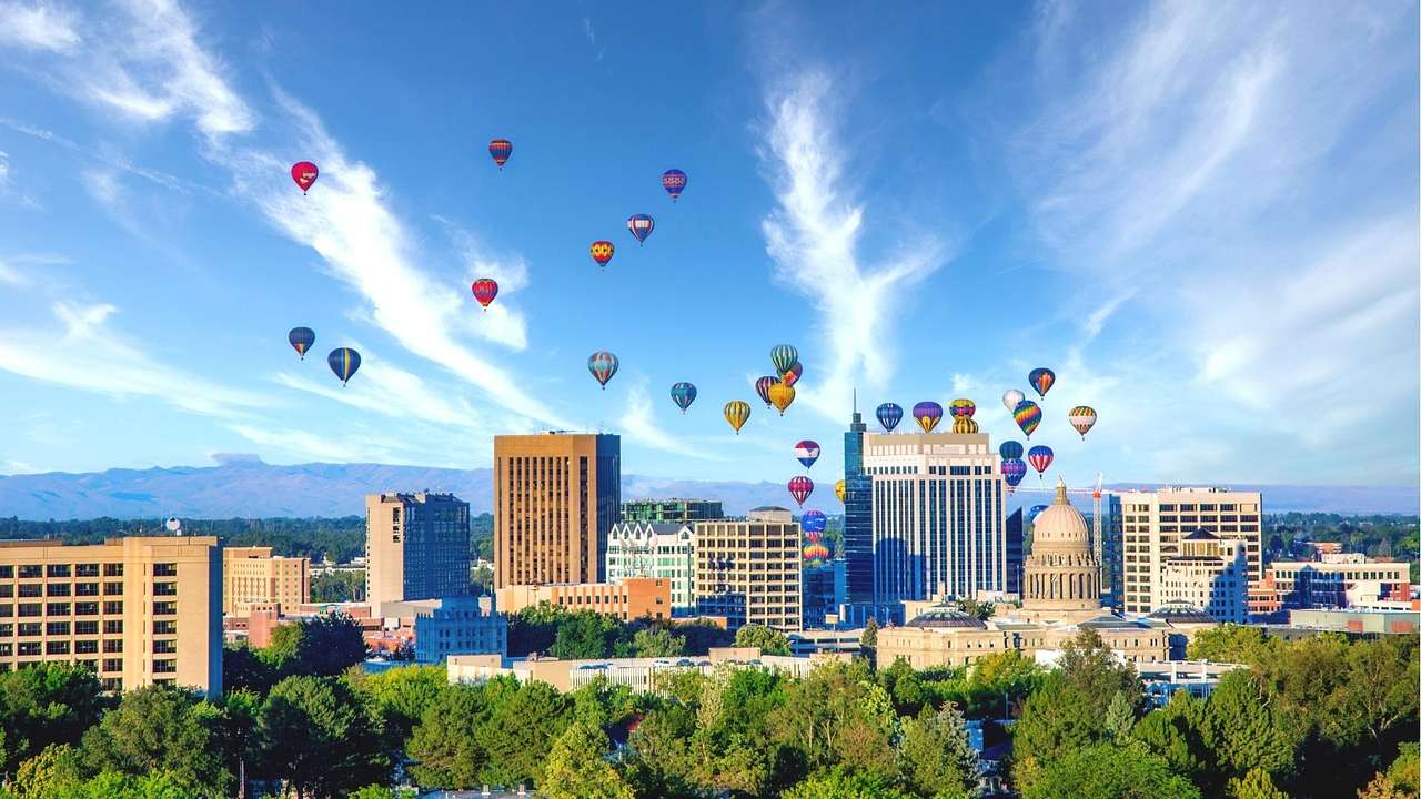 Trees against a capitol building and skyscrapers under a sky with hot air balloons