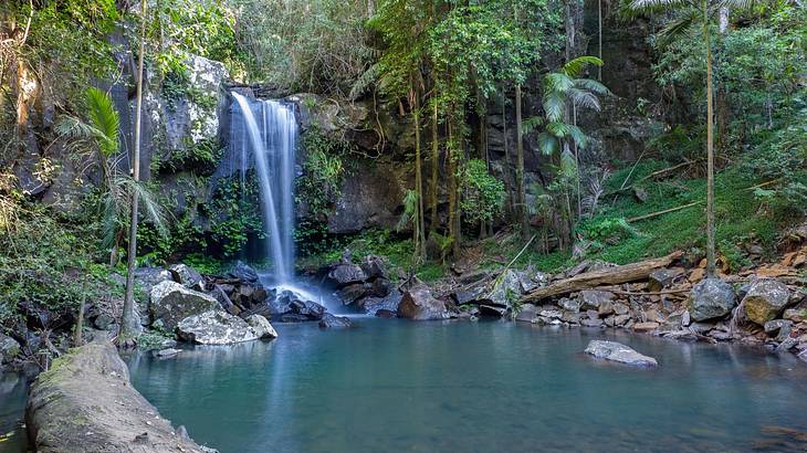 Curtis Falls is one of the most popular Brisbane waterfalls to visit
