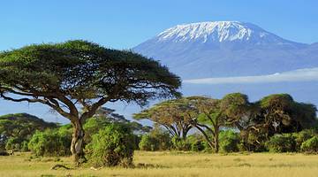 Mount Kilimanjaro on a nice day, one of the most famous African landmarks