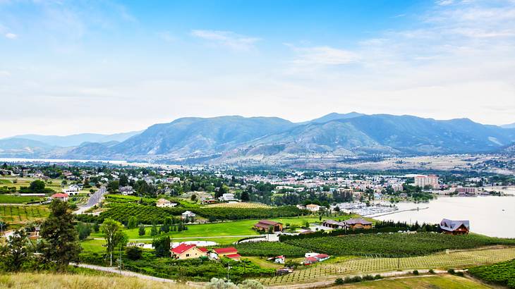 Aerial view of the best Okanagan wineries, farmland, a lake and mountains