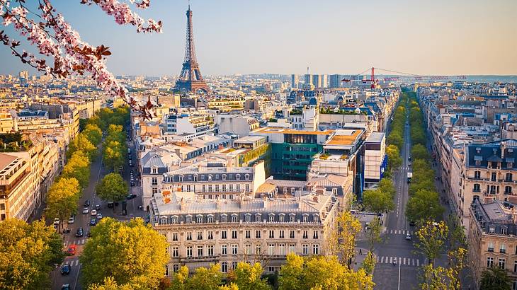 Do You Know These 50 Fun Facts About Paris France?