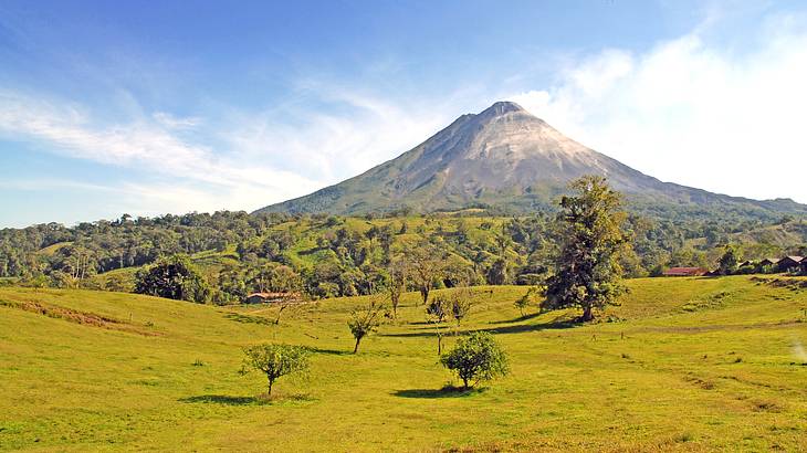 A volcano peak in the background with green tree-filled hills in the foreground A volcano peak in the background with green tree-filled hills in the foreground