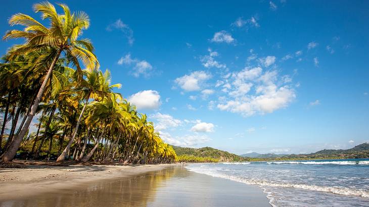 Sandy coastline with trees and green mountains under a blue sky with white clouds
