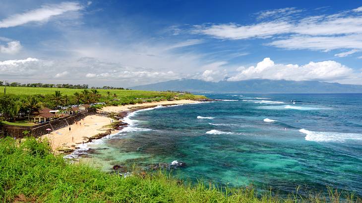 The view of a beach and the clear blue sea from a greenery-covered cliff