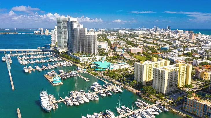 A cityscape with skyscrapers and a marina in front of them with boats moored