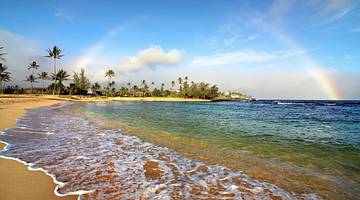 A beach with sandy shores, palm trees, and turquoise water under a sky with a rainbow